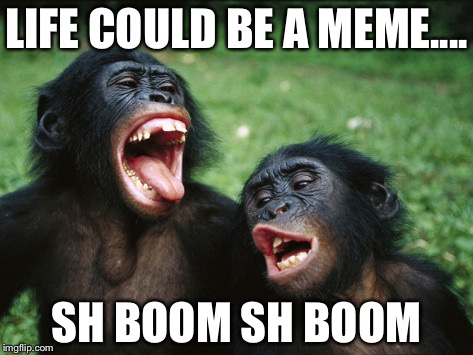 Bonobo Lyfe | LIFE COULD BE A MEME.... SH BOOM SH BOOM | image tagged in memes,bonobo lyfe | made w/ Imgflip meme maker