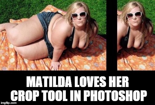 Crop out my backside! | MATILDA LOVES HER CROP TOOL IN PHOTOSHOP | image tagged in blonde,high expectations asian father,crop circles,photoshop | made w/ Imgflip meme maker