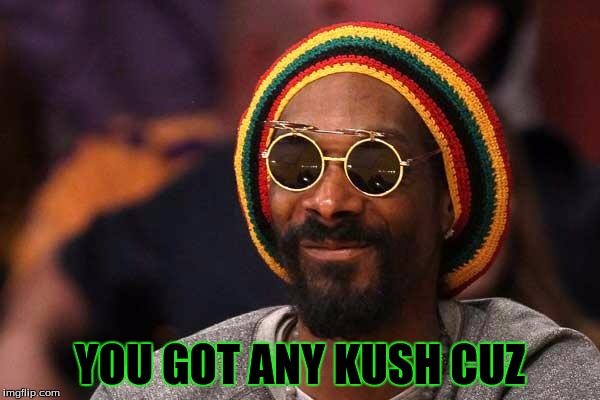 Snoop Lion Dogger | YOU GOT ANY KUSH CUZ | image tagged in snoop lion dogger | made w/ Imgflip meme maker