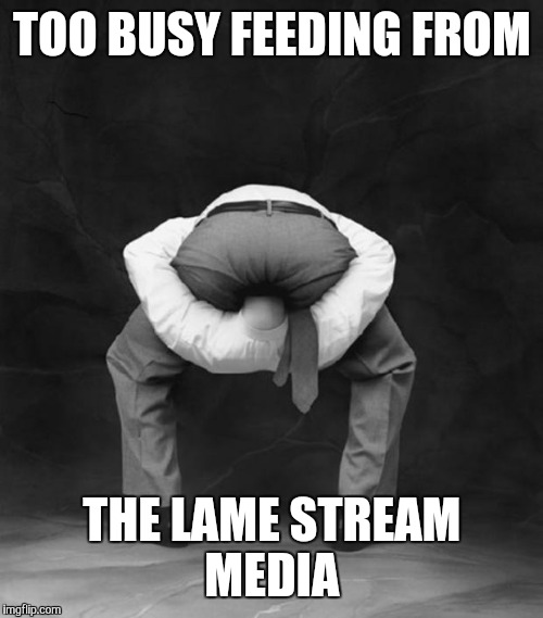 TOO BUSY FEEDING FROM THE LAME STREAM MEDIA | made w/ Imgflip meme maker