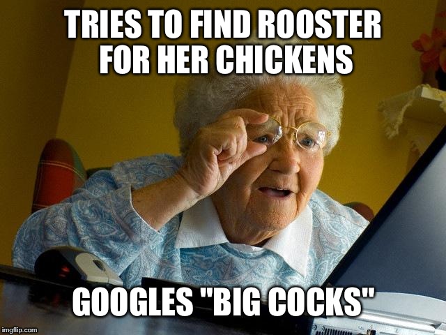Grandma makes a mistake | TRIES TO FIND ROOSTER FOR HER CHICKENS; GOOGLES "BIG COCKS" | image tagged in memes,grandma finds the internet,old people,funny,mistake | made w/ Imgflip meme maker