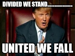 Donald Trump | DIVIDED WE STAND...................... UNITED WE FALL | image tagged in donald trump | made w/ Imgflip meme maker