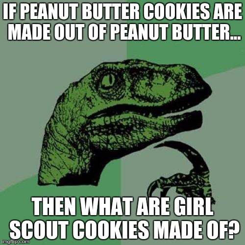 Philosoraptor Meme | IF PEANUT BUTTER COOKIES ARE MADE OUT OF PEANUT BUTTER... THEN WHAT ARE GIRL SCOUT COOKIES MADE OF? | image tagged in memes,philosoraptor | made w/ Imgflip meme maker