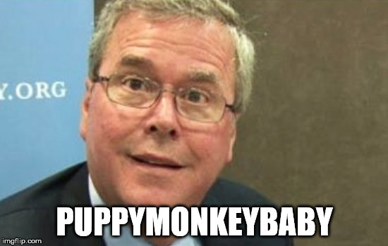 Jeb Bush | PUPPYMONKEYBABY | image tagged in jeb bush | made w/ Imgflip meme maker