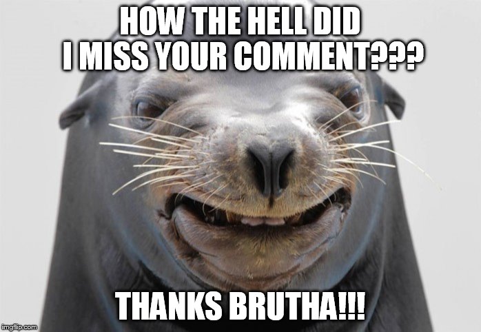 happy seal | HOW THE HELL DID I MISS YOUR COMMENT??? THANKS BRUTHA!!! | image tagged in happy seal | made w/ Imgflip meme maker
