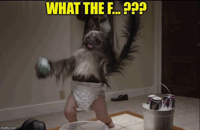 Puppy monkey baby  | WHAT THE F... ??? | image tagged in puppy monkey baby | made w/ Imgflip meme maker
