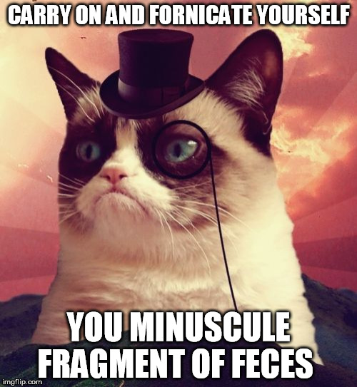 Grumpy Cat Top Hat | CARRY ON AND FORNICATE YOURSELF; YOU MINUSCULE FRAGMENT OF FECES | image tagged in memes,grumpy cat top hat,grumpy cat | made w/ Imgflip meme maker