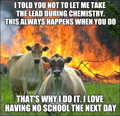 Evil Cows Meme | I TOLD YOU NOT TO LET ME TAKE THE LEAD DURING CHEMISTRY. THIS ALWAYS HAPPENS WHEN YOU DO; THAT'S WHY I DO IT. I LOVE HAVING NO SCHOOL THE NEXT DAY | image tagged in memes,evil cows | made w/ Imgflip meme maker