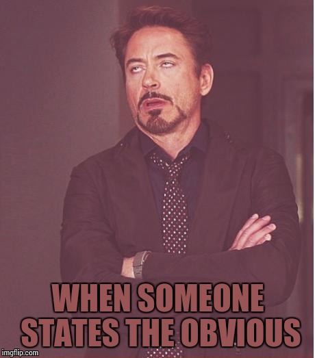 Face You Make Robert Downey Jr Meme | WHEN SOMEONE STATES THE OBVIOUS | image tagged in memes,face you make robert downey jr | made w/ Imgflip meme maker