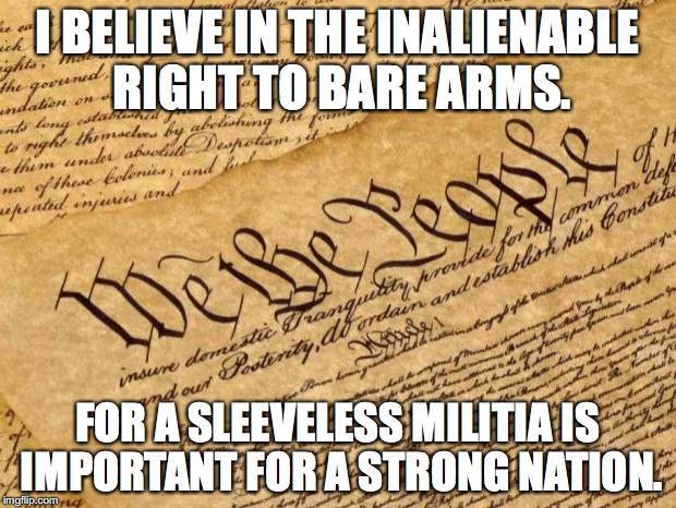 Only an oppressive government forces it's people to wear long-sleeve shirts. | I BELIEVE IN THE INALIENABLE RIGHT TO BARE ARMS. FOR A SLEEVELESS MILITIA IS IMPORTANT FOR A STRONG NATION. | image tagged in constitution | made w/ Imgflip meme maker