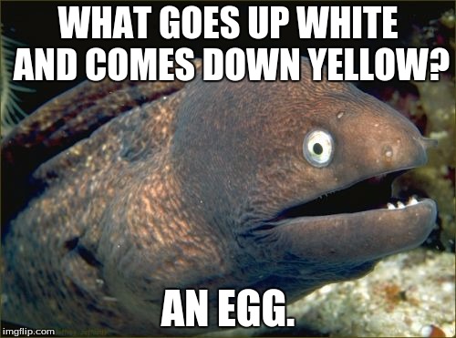 Bad Joke Eel | WHAT GOES UP WHITE AND COMES DOWN YELLOW? AN EGG. | image tagged in memes,bad joke eel | made w/ Imgflip meme maker