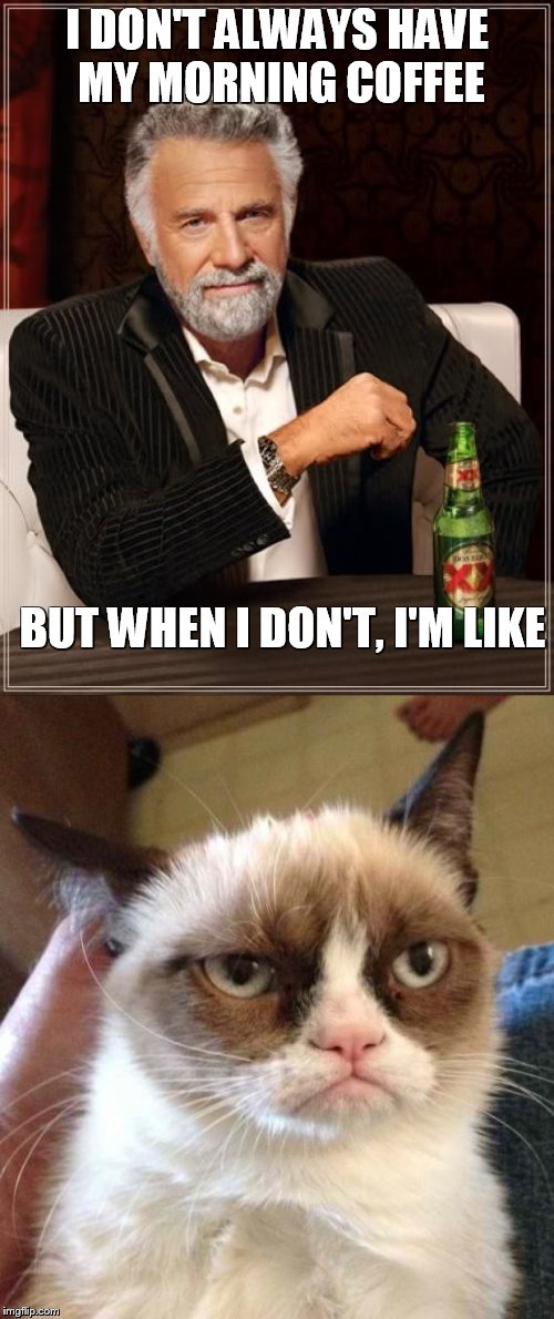 The Most Interesting Man in the World | I DON'T ALWAYS HAVE MY MORNING COFFEE; BUT WHEN I DON'T, I'M LIKE | image tagged in the most interesting man in the world,grumpy cat | made w/ Imgflip meme maker