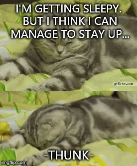 I'M GETTING SLEEPY. BUT I THINK I CAN MANAGE TO STAY UP... -THUNK- | image tagged in sleepy | made w/ Imgflip meme maker