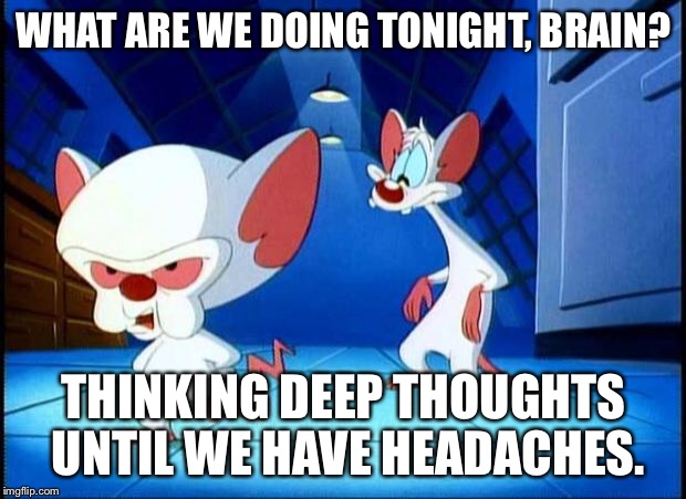 pinky and the brain monday | WHAT ARE WE DOING TONIGHT, BRAIN? THINKING DEEP THOUGHTS UNTIL WE HAVE HEADACHES. | image tagged in pinky and the brain monday | made w/ Imgflip meme maker