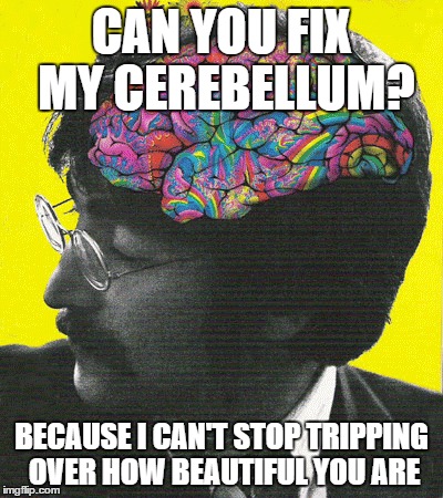CAN YOU FIX MY CEREBELLUM? BECAUSE I CAN'T STOP TRIPPING OVER HOW BEAUTIFUL YOU ARE | image tagged in brain,pickup master | made w/ Imgflip meme maker