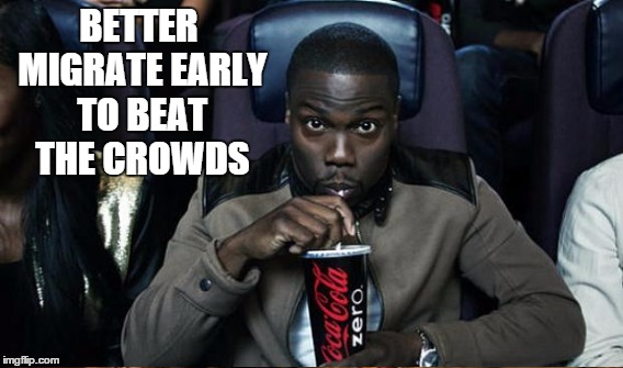 BETTER MIGRATE EARLY TO BEAT THE CROWDS | made w/ Imgflip meme maker