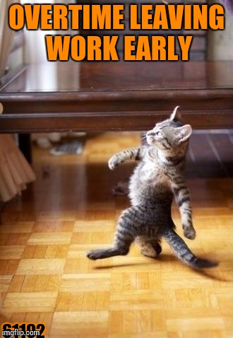 Cool Cat Stroll Meme | OVERTIME LEAVING WORK EARLY; 61192 | image tagged in memes,cool cat stroll | made w/ Imgflip meme maker