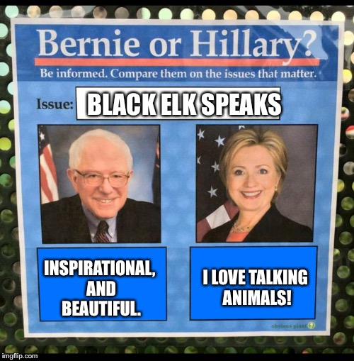 Bernie or Hillary? | BLACK ELK SPEAKS; INSPIRATIONAL, AND BEAUTIFUL. I LOVE TALKING ANIMALS! | image tagged in bernie or hillary | made w/ Imgflip meme maker