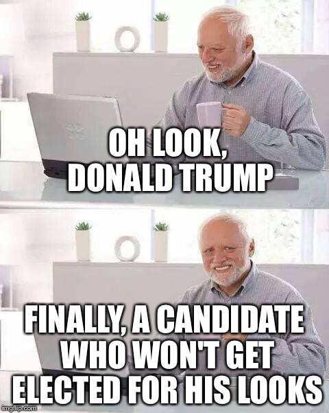 This may be the wrong usage of this template. I just wanted to use it. | OH LOOK, DONALD TRUMP; FINALLY, A CANDIDATE WHO WON'T GET ELECTED FOR HIS LOOKS | image tagged in memes,hide the pain harold | made w/ Imgflip meme maker