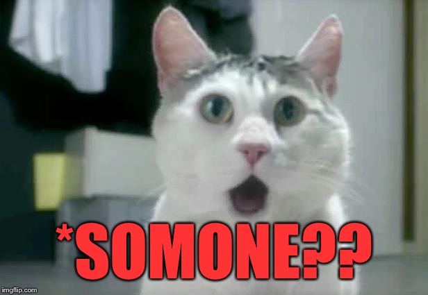 omg cat 2 | *SOMONE?? | image tagged in omg cat 2 | made w/ Imgflip meme maker
