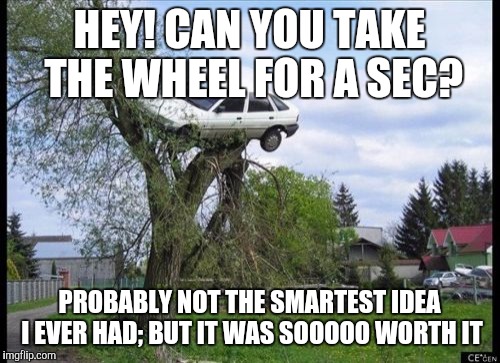 Secure Parking Meme | HEY! CAN YOU TAKE THE WHEEL FOR A SEC? PROBABLY NOT THE SMARTEST IDEA I EVER HAD; BUT IT WAS SOOOOO WORTH IT | image tagged in memes,secure parking | made w/ Imgflip meme maker