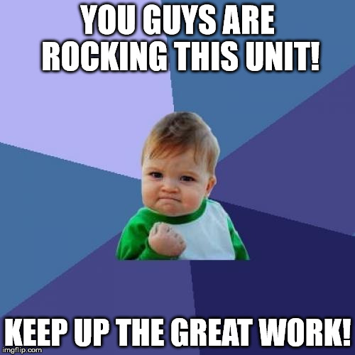 Success Kid Meme | YOU GUYS ARE ROCKING THIS UNIT! KEEP UP THE GREAT WORK! | image tagged in memes,success kid | made w/ Imgflip meme maker