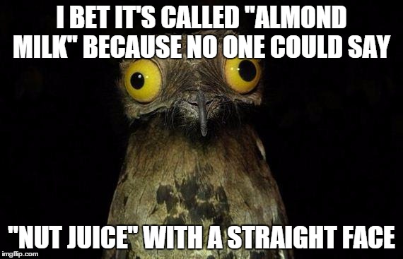 Weird Stuff I Think About | I BET IT'S CALLED "ALMOND MILK" BECAUSE NO ONE COULD SAY; "NUT JUICE" WITH A STRAIGHT FACE | image tagged in memes,weird stuff i do potoo | made w/ Imgflip meme maker