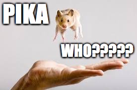 PIKA WHO????? | made w/ Imgflip meme maker