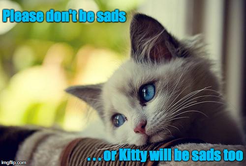 Don't Be Sads | Please don't be sads; . . . or Kitty will be sads too | image tagged in don't be sads | made w/ Imgflip meme maker