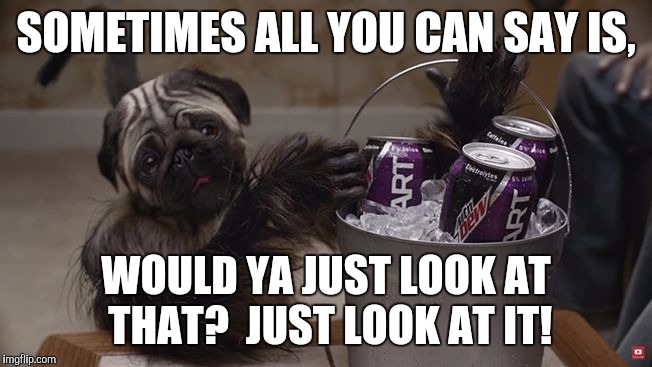 puppymonkeybaby | SOMETIMES ALL YOU CAN SAY IS, WOULD YA JUST LOOK AT THAT?  JUST LOOK AT IT! | image tagged in puppymonkeybaby | made w/ Imgflip meme maker