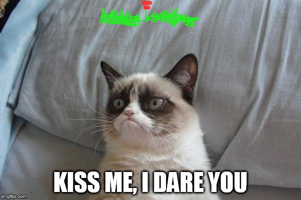 don`t kiss grumpy cat | KISS ME, I DARE YOU | image tagged in memes,grumpy cat bed,grumpy cat | made w/ Imgflip meme maker