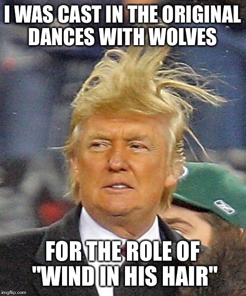 Maybe it would make a good parody?? | I WAS CAST IN THE ORIGINAL DANCES WITH WOLVES; FOR THE ROLE OF "WIND IN HIS HAIR" | image tagged in donald trumph hair,dances with wolves,bad movies,funny,bad joke,funny memes | made w/ Imgflip meme maker