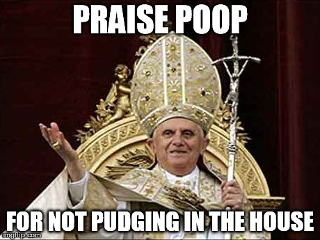 PRAISE POOP; FOR NOT PUDGING IN THE HOUSE | image tagged in pope,see | made w/ Imgflip meme maker