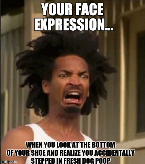 Disgusting |  YOUR FACE EXPRESSION... WHEN YOU LOOK AT THE BOTTOM OF YOUR SHOE AND REALIZE YOU ACCIDENTALLY STEPPED IN FRESH DOG POOP | image tagged in disgusting | made w/ Imgflip meme maker