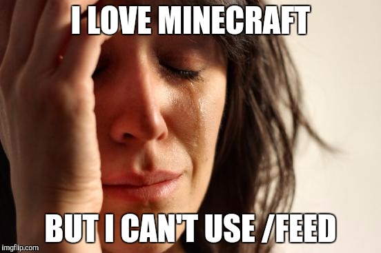 First World Problems Meme | I LOVE MINECRAFT BUT I CAN'T USE /FEED | image tagged in memes,first world problems | made w/ Imgflip meme maker