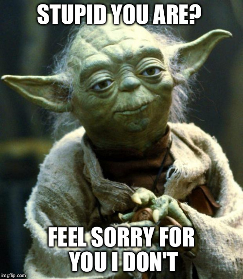 Star Wars Yoda | STUPID YOU ARE? FEEL SORRY FOR YOU I DON'T | image tagged in memes,star wars yoda | made w/ Imgflip meme maker