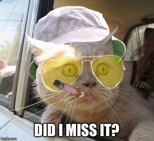 Fear And Loathing Cat | DID I MISS IT? | image tagged in memes,fear and loathing cat | made w/ Imgflip meme maker