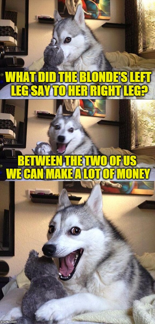 Bad Pun Dog | WHAT DID THE BLONDE'S LEFT LEG SAY TO HER RIGHT LEG? BETWEEN THE TWO OF US WE CAN MAKE A LOT OF MONEY | image tagged in memes,bad pun dog | made w/ Imgflip meme maker