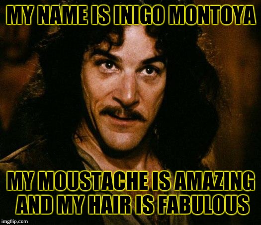 Inigo Montoya Meme |  MY NAME IS INIGO MONTOYA; MY MOUSTACHE IS AMAZING AND MY HAIR IS FABULOUS | image tagged in memes,inigo montoya | made w/ Imgflip meme maker
