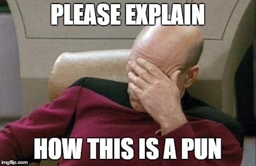 Captain Picard Facepalm Meme | PLEASE EXPLAIN HOW THIS IS A PUN | image tagged in memes,captain picard facepalm | made w/ Imgflip meme maker