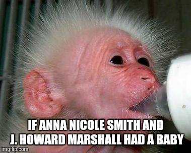 babies | IF ANNA NICOLE SMITH AND J. HOWARD MARSHALL HAD A BABY | image tagged in babies | made w/ Imgflip meme maker
