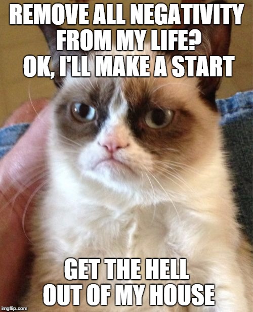 Grumpy Cat Meme | REMOVE ALL NEGATIVITY FROM MY LIFE? OK, I'LL MAKE A START; GET THE HELL OUT OF MY HOUSE | image tagged in memes,grumpy cat | made w/ Imgflip meme maker