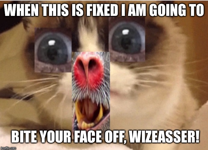 BABOON GRUMPY CAT | WHEN THIS IS FIXED I AM GOING TO; BITE YOUR FACE OFF, WIZEASSER! | image tagged in grumpy cathuman eyes,baboon,genetic engineering,fotoshop | made w/ Imgflip meme maker