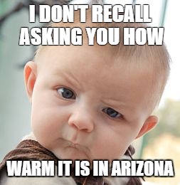 Skeptical Baby | I DON'T RECALL ASKING YOU HOW; WARM IT IS IN ARIZONA | image tagged in memes,skeptical baby | made w/ Imgflip meme maker