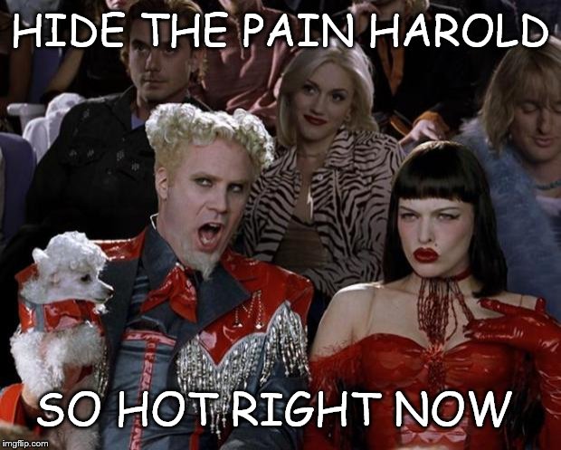 Mugatu So Hot Right Now | HIDE THE PAIN HAROLD; SO HOT RIGHT NOW | image tagged in memes,mugatu so hot right now | made w/ Imgflip meme maker