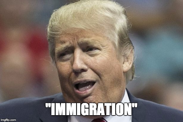 Donald Trump | "IMMIGRATION" | image tagged in donald trump | made w/ Imgflip meme maker