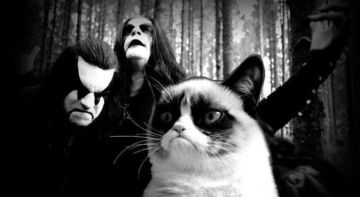 black metal grumpy cat Blank Meme Template