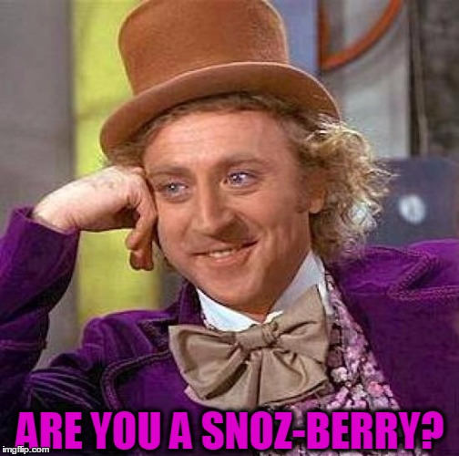 Creepy Condescending Wonka Meme | ARE YOU A SNOZ-BERRY? | image tagged in memes,creepy condescending wonka | made w/ Imgflip meme maker