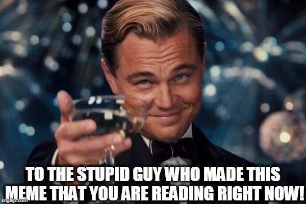 Leonardo Dicaprio Cheers | TO THE STUPID GUY WHO MADE THIS MEME THAT YOU ARE READING RIGHT NOW! | image tagged in memes,leonardo dicaprio cheers | made w/ Imgflip meme maker