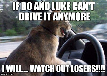 catsale | IF BO AND LUKE CAN'T DRIVE IT ANYMORE; I WILL.... WATCH OUT LOSERS!!!! | image tagged in catsale | made w/ Imgflip meme maker